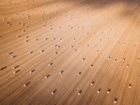 Aerial view of a golden harvested field scattered with rectangular hay bales arranged in neat rows. The long shadows of the bales emphasize the geometric patterns on the ground. Photo by Ivan Bandura on Unsplash https://unsplash.com/photos/brown-parquet-floor-XwYmJUVMs2s